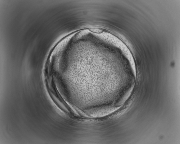 X0000116870803201001121300