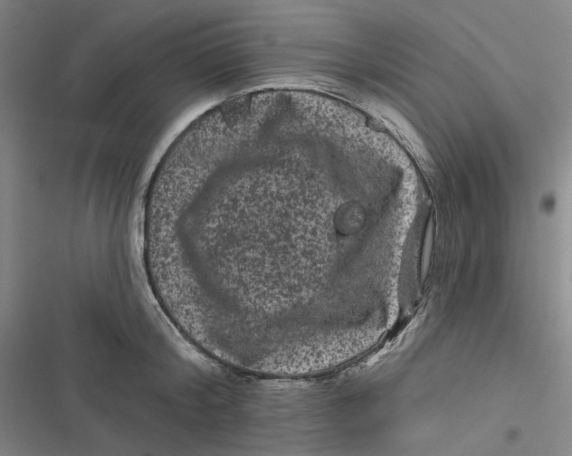 X0000116870804201001121300