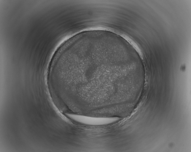 X0000116870805201001121300