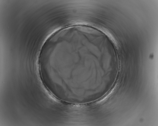 X0000116870806201001121300