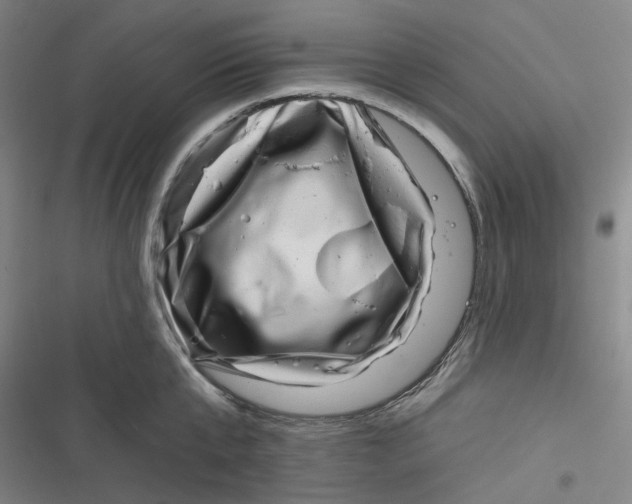 X0000116870807201001121300