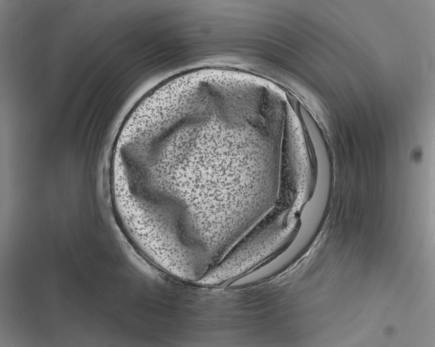 X0000116870808201001121300