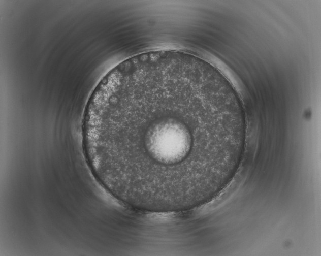 X0000116870810201001121300