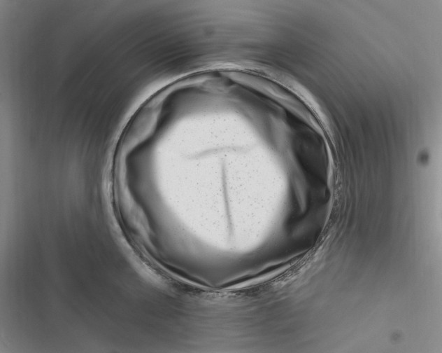 X0000116870811201001121300