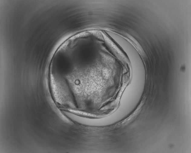 X0000116870812201001121300