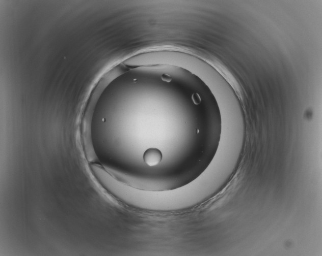 X0000116870813201001121300