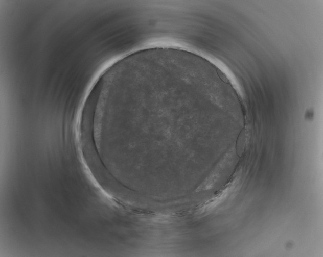 X0000116870815201001121300