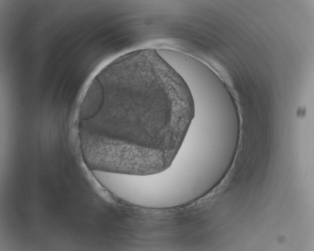 X0000116870816201001121300