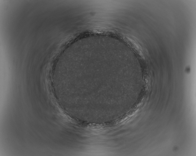 X0000116870817201001121259