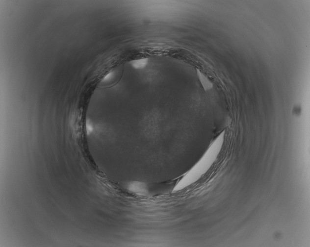 X0000116870818201001121300