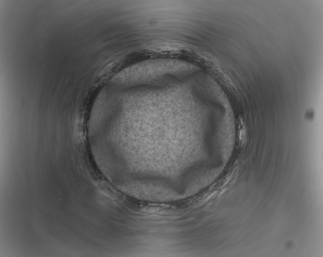 X0000116870819201001121300