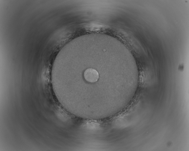 X0000116870820201001121300