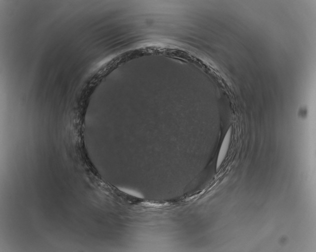 X0000116870822201001121300