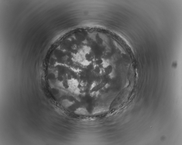 X0000116870823201001121300