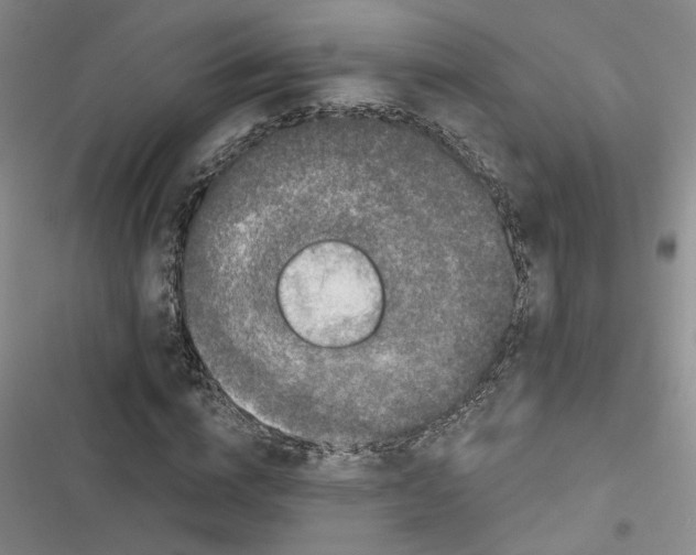 X0000116870824201001121300