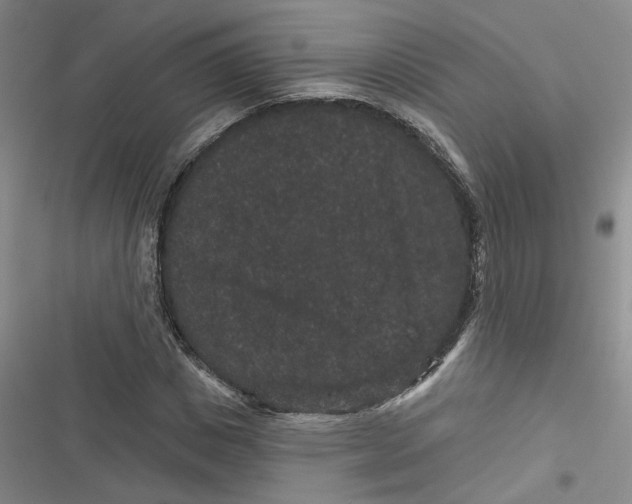 X0000116870825201001121300