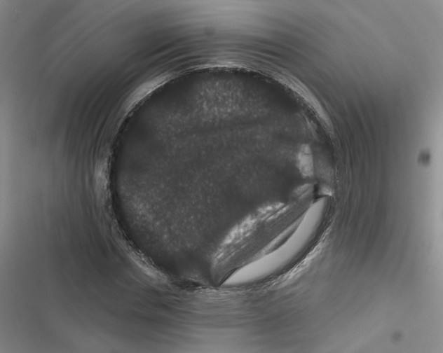 X0000116870826201001121300