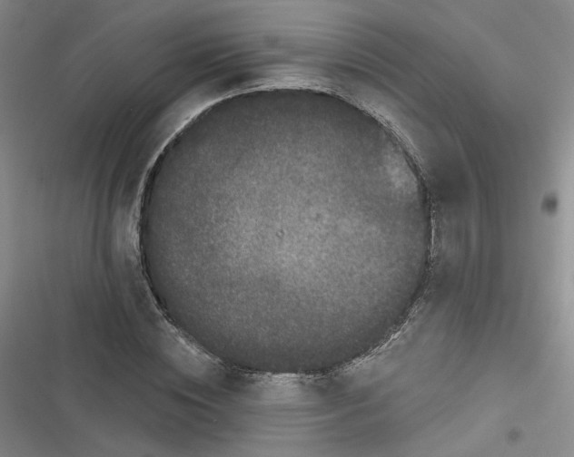 X0000116870828201001121300