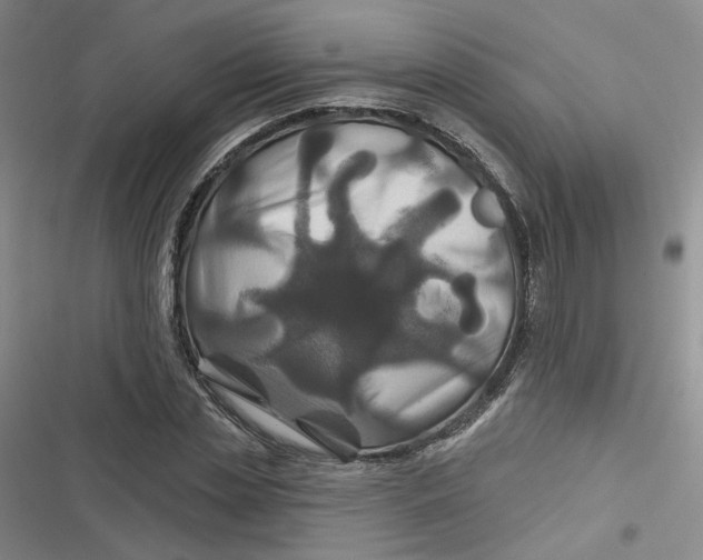 X0000116870829201001121300