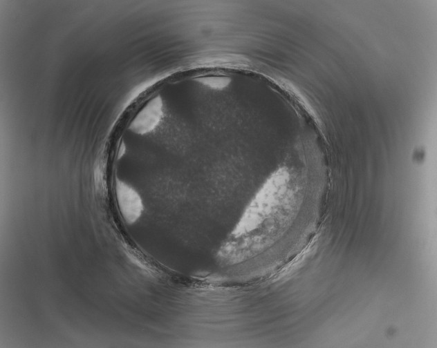 X0000116870830201001121300