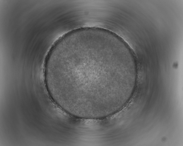 X0000116870832201001121300