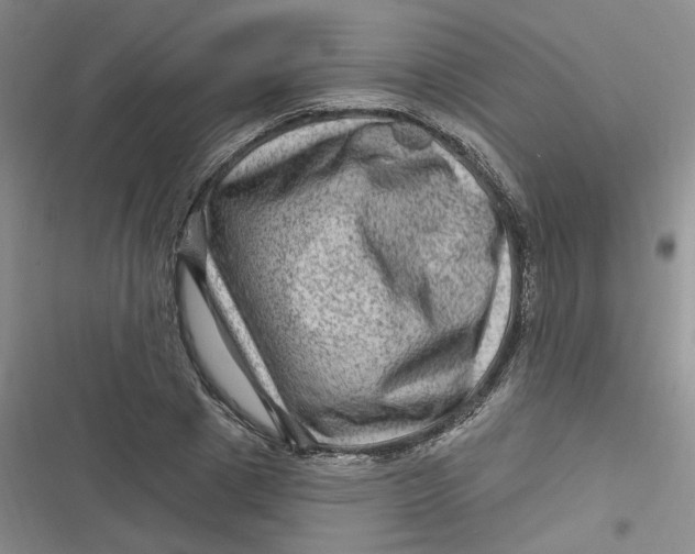 X0000116870833201001121300