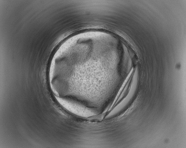 X0000116870834201001121300