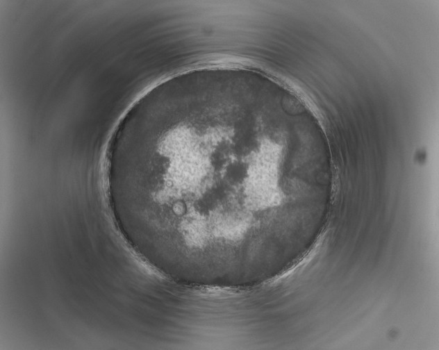 X0000116870835201001121300