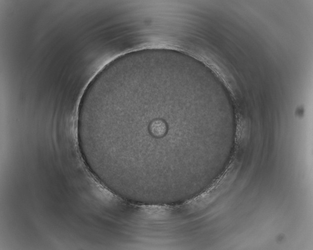 X0000116870836201001121300