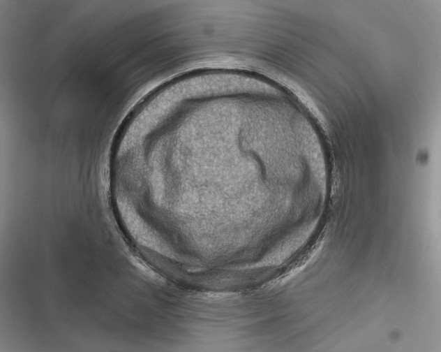 X0000116870837201001121300