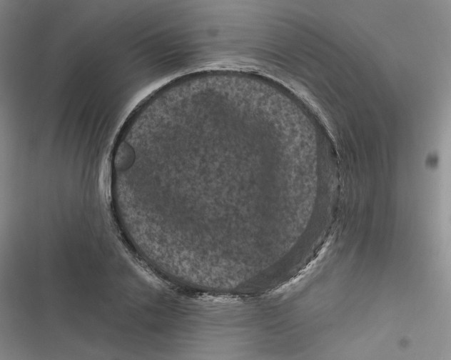 X0000116870838201001121300