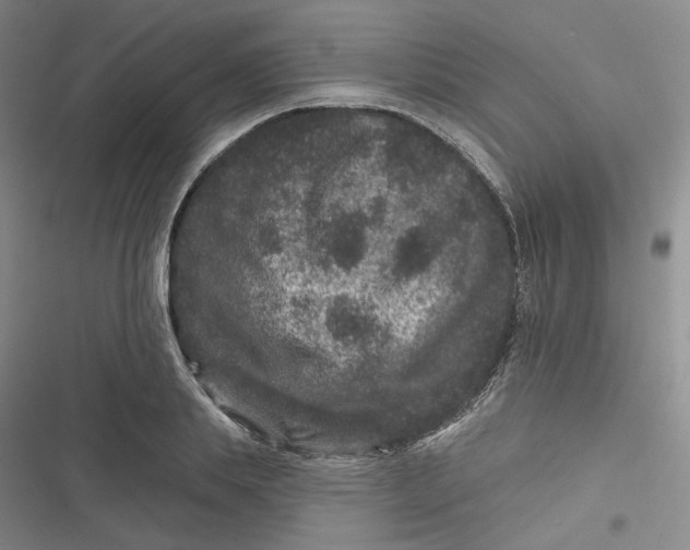 X0000116870839201001121300