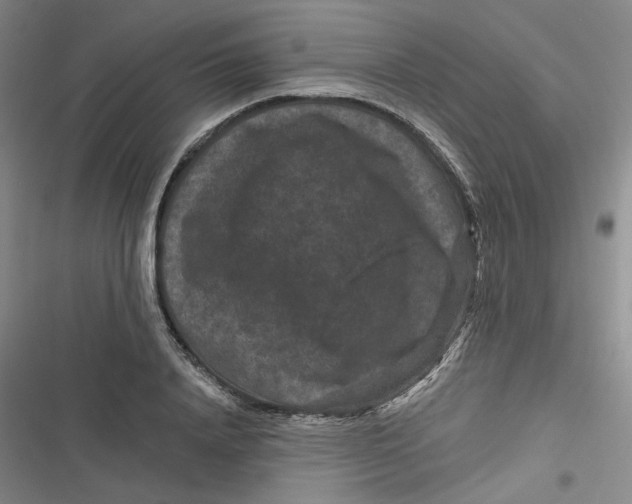 X0000116870840201001121300