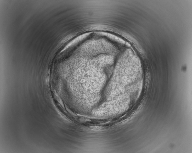 X0000116870841201001121300