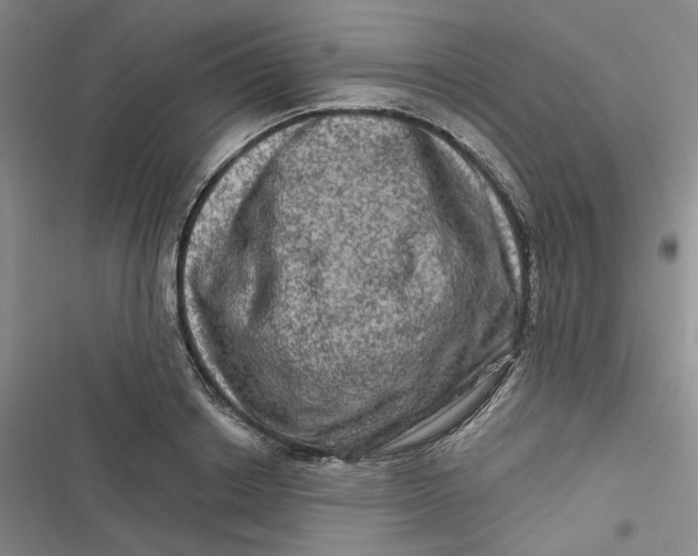 X0000116870842201001121300