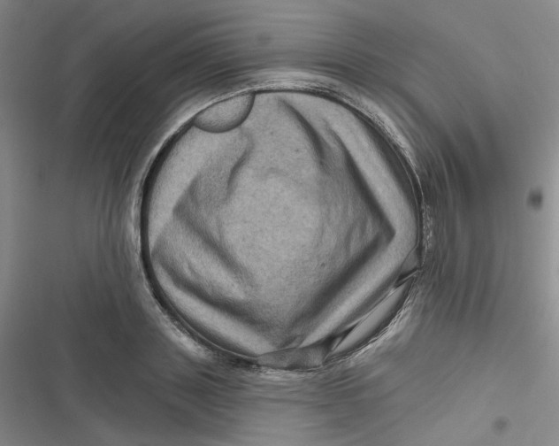 X0000116870843201001121300