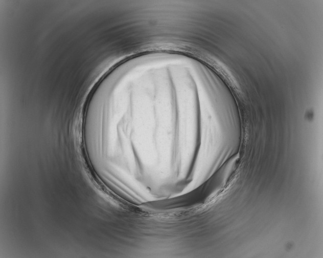 X0000116870844201001121300