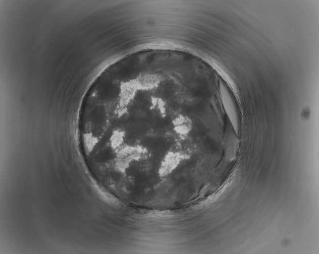 X0000116870845201001121300