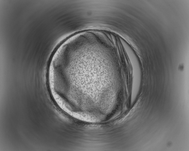 X0000116870846201001121300