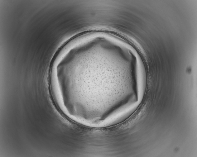 X0000116870847201001121300