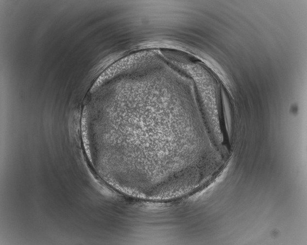 X0000116870849201001121300