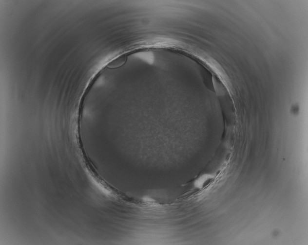 X0000116870850201001121300