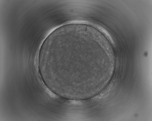 X0000116870852201001121300