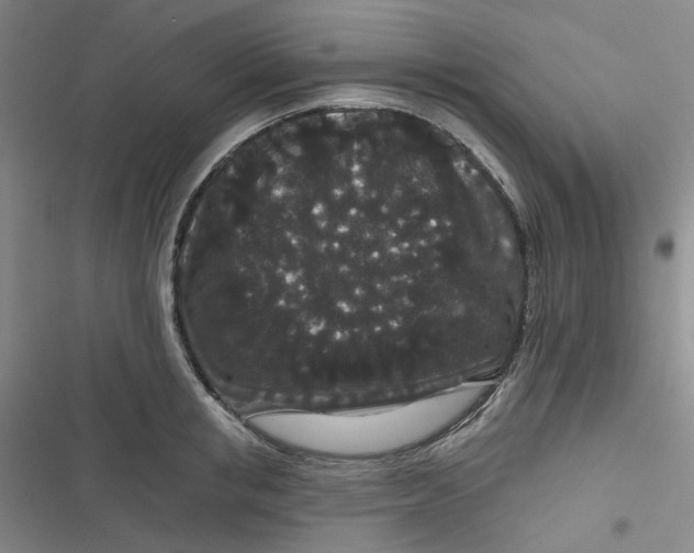 X0000116870853201001121300