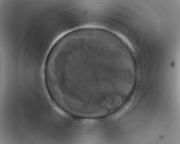 X0000116870854201001121300