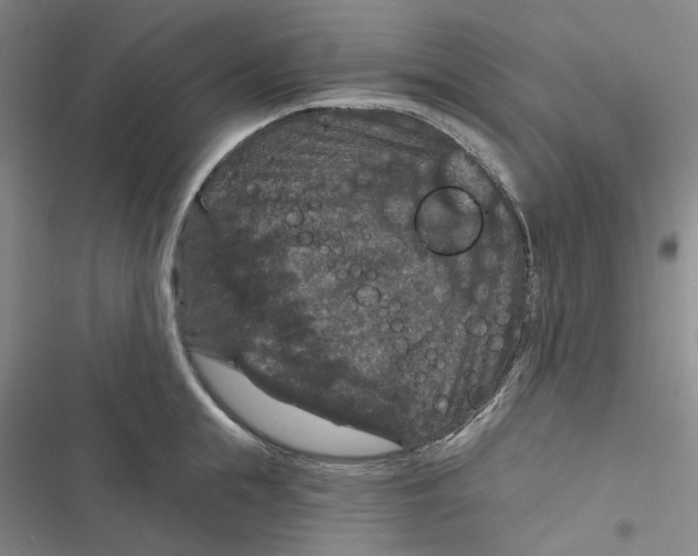 X0000116870855201001121300