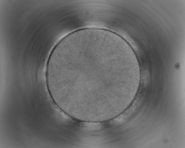 X0000116870856201001121300