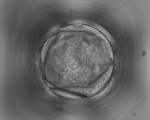 X0000116870857201001121300