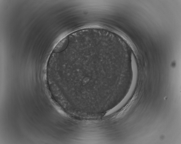 X0000116870858201001121300