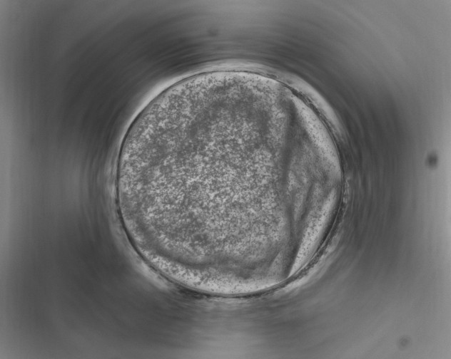 X0000116870860201001121300